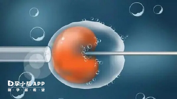 服用来曲唑后卵泡生长速度增加是正常现象