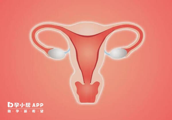 孕激素可以缓解子宫平滑肌收缩