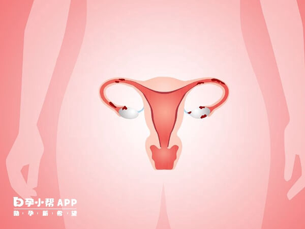 部分多囊患者可服用滋肾育胎丸调理月经
