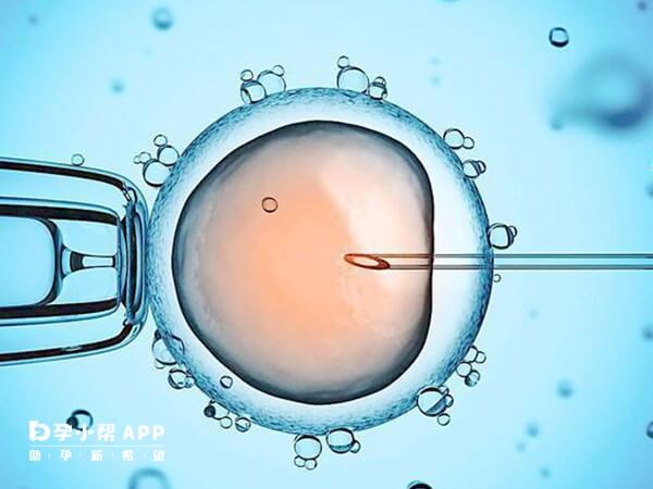 雪诺酮可用于试管婴儿辅助生殖技术中