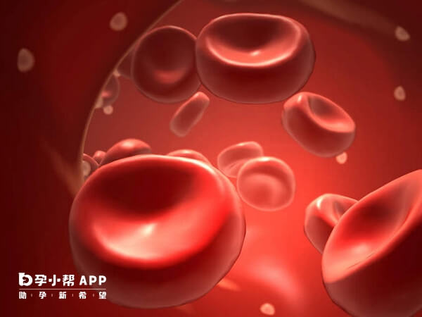 最常见肝素钠注射液副反应为出血