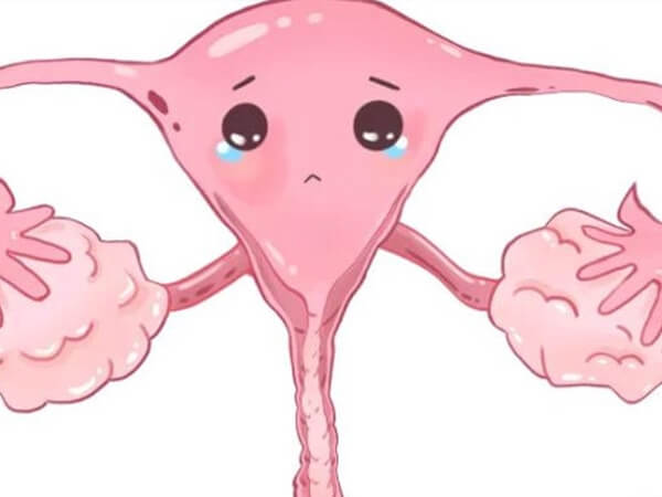 定坤丹有改善子宫内膜薄的功效
