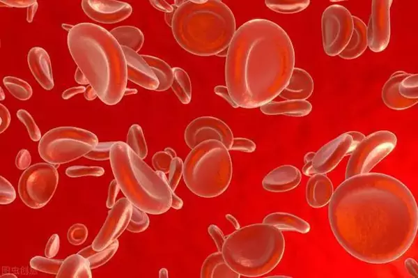 造血干细胞捐献者