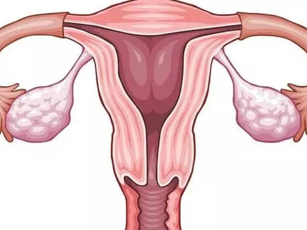 卵巢功能减弱可适当服用红妥运