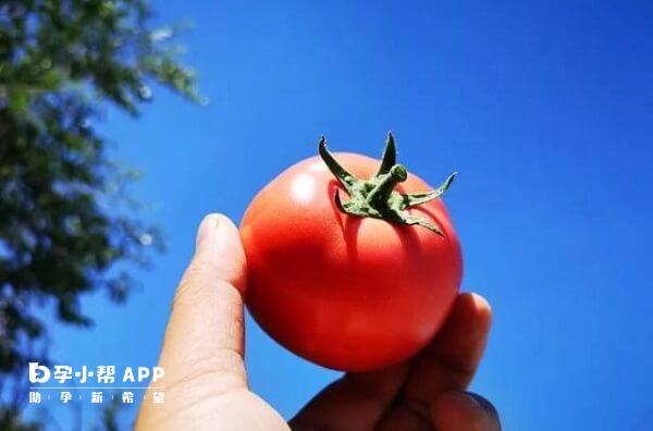 新疆产地的番茄红素较好