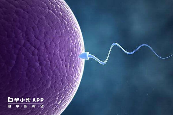 鲜胚胎移植妊娠率达55%