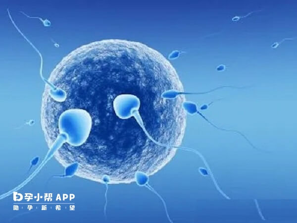 2023楚雄州人民医院试管婴儿成功率一览，附2023助孕成功率预估表