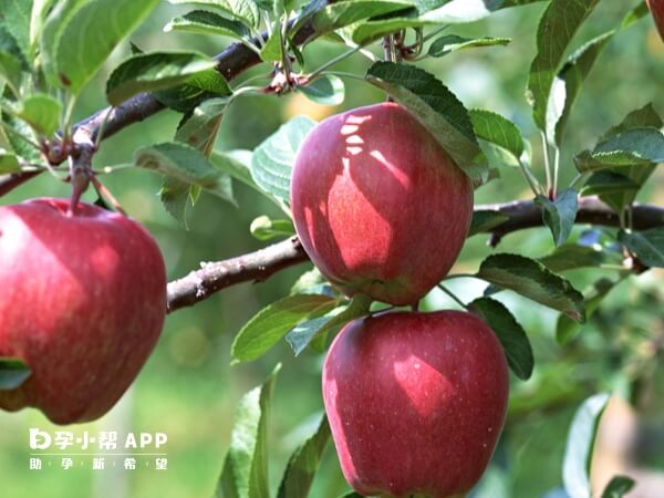 子宫肌瘤可以吃苹果