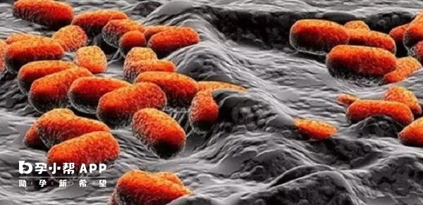 杀灭厌氧微生物可使用甲硝唑栓