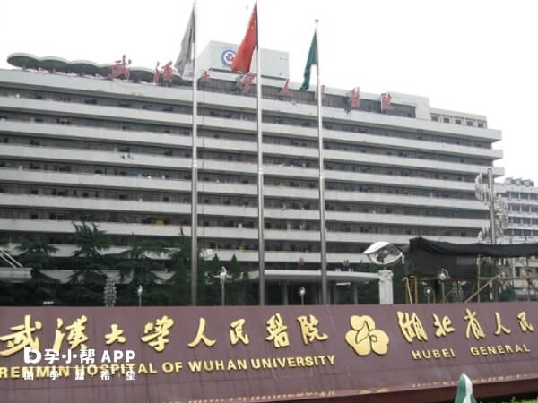 武汉大学人民医院试管大夫排名