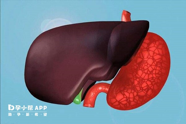 甲硝唑栓长期使用对肝肾有损害