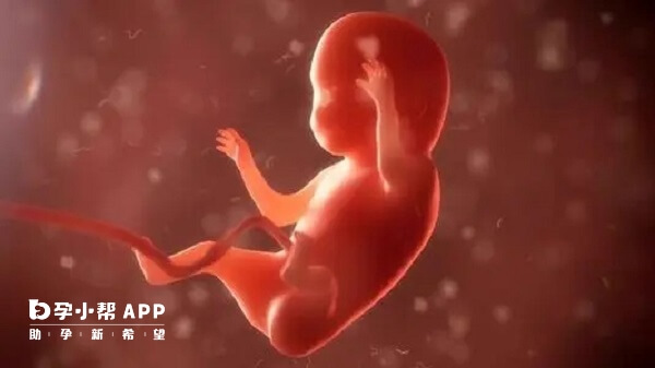 胎儿发育会受甲硝唑栓影响
