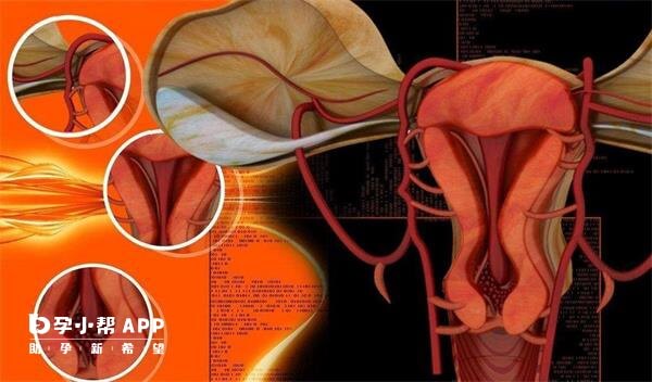 摘除子宫和卵巢不会影响寿命