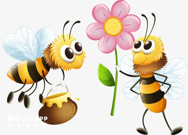 孕妇梦见蜜蜂是个好梦
