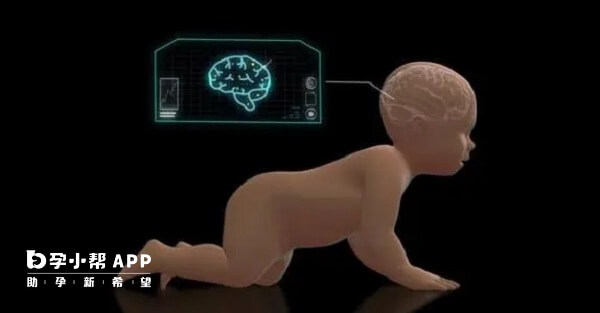婴幼儿服用dha可促进脑部发育