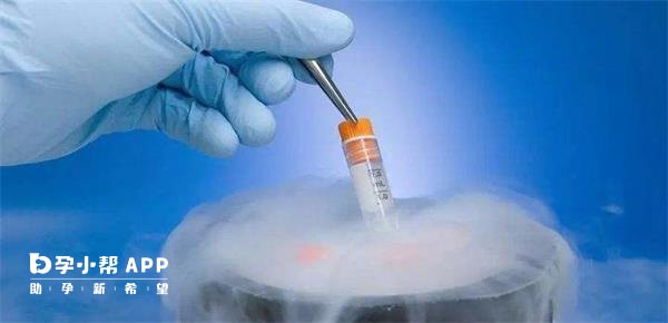 拮抗剂方案中冻胚移植比鲜胚移植好