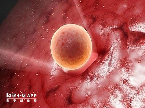 胚胎移植20天出血可能没成功