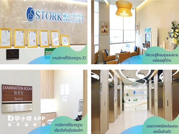 泰国嗣道(STORK A.R.T.)医院，沈泱创建的高端试管婴儿诊所- 久久助孕网