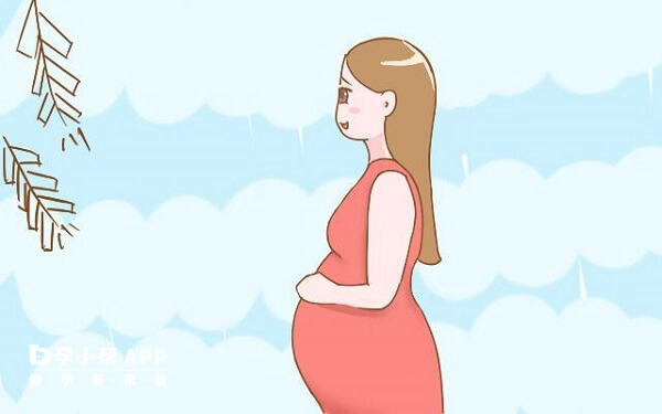 孕期补充营养物质可吃润康