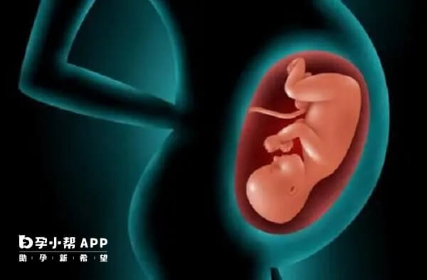 医生推荐润康是因为其能促进胎儿发育