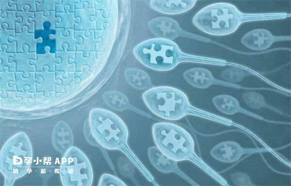 移植4bc囊胚能成功生下宝宝