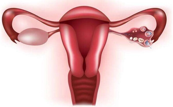 适当服用替勃龙片可以稳定卵巢功能