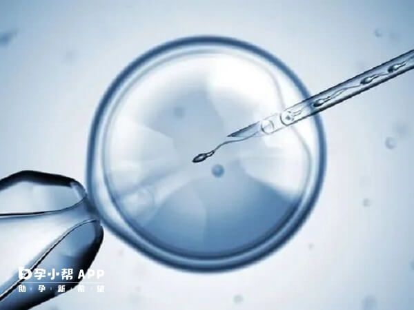 试管婴儿中用利维爱能增加胚胎着床率