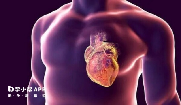 过量服用优甲乐会对心脏有影响