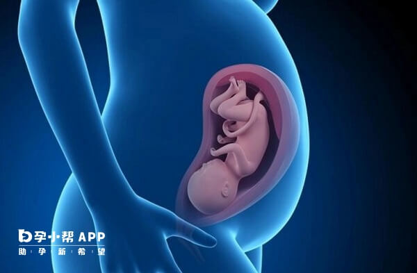 孕妇吃优甲乐对胎儿无影响