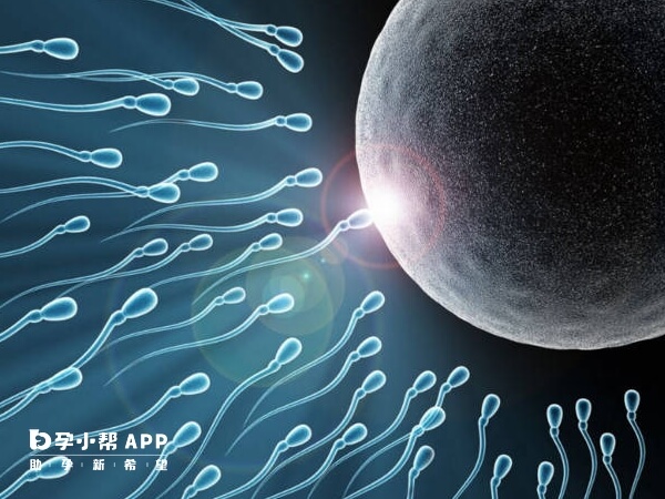 泰国试管婴儿可解决精子问题