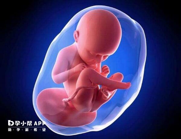 孕期预防胎儿畸形要补充叶酸