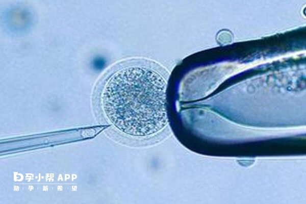 18颗卵能配出8个胚胎