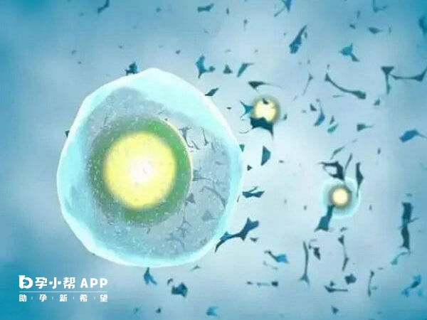 卵巢过度刺激可以冷冻胚胎