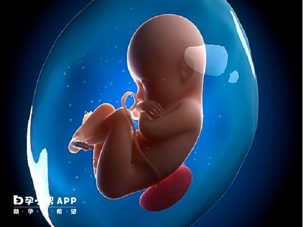 胚胎质量不好导致不着床与生化