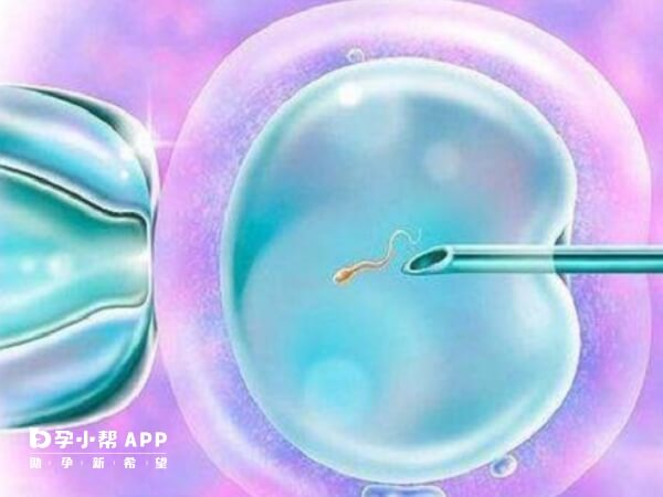 内膜达8mm能移植鲜胚