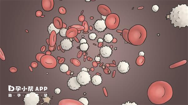 癌细胞x白血球肉图图片