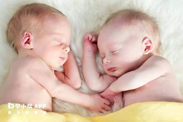 受精卵分裂成两个胚胎形成同卵双胎