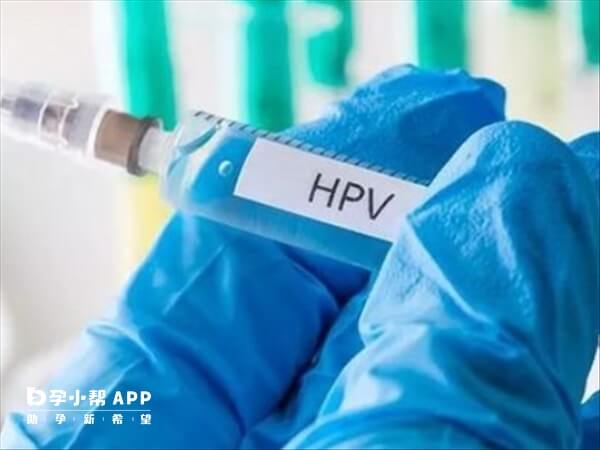 hpv2价疫苗不适用于男性