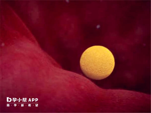 天津一中心医院试管移植1-2个胚胎