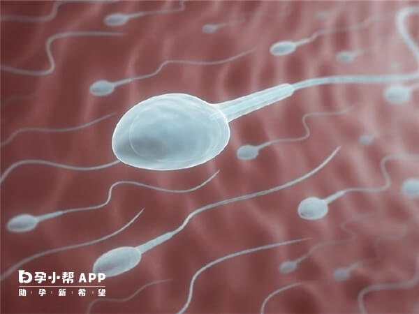 广东省中山六院不可以做供精试管婴儿