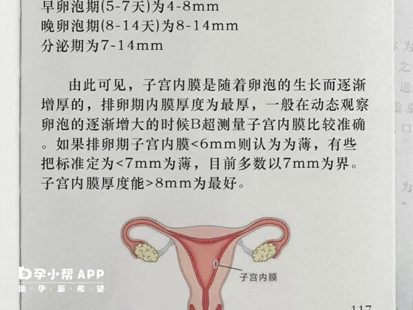 内膜1.4cm可能是怀孕