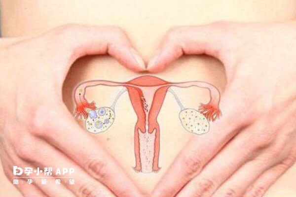 卵巢早衰做试管可以怀孕