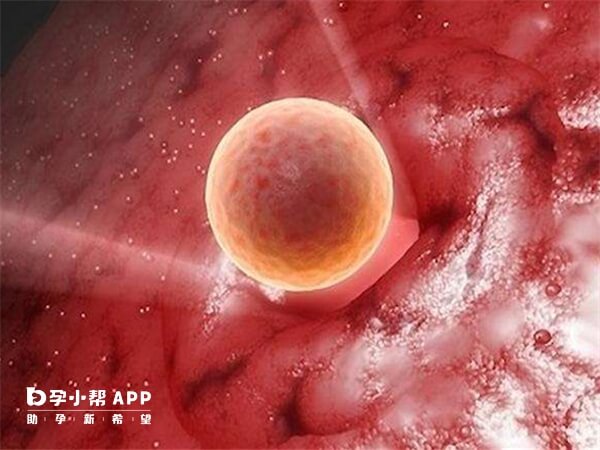 中信湘雅三代试管可以移两个胚胎