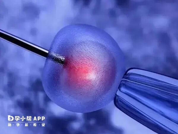 鲜胚的质量高移植有利于着床成功率