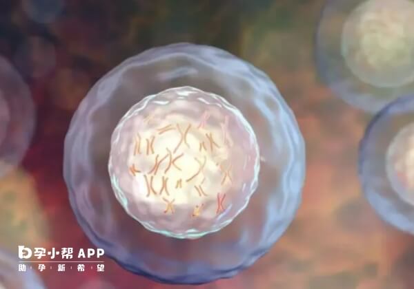 试管胚胎成功着床后早期症状一览！试管着床成功后如何验孕插图