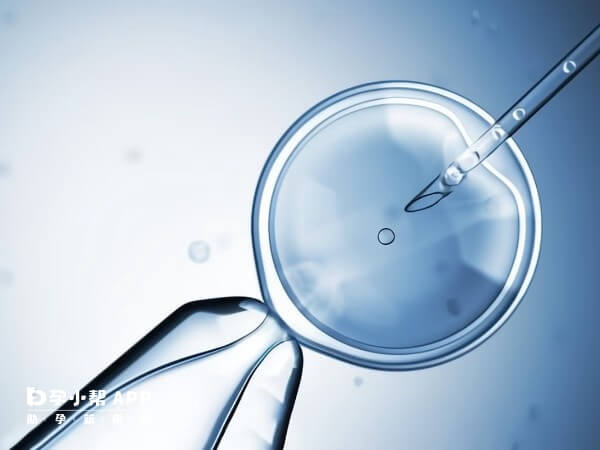 在排卵期进行囊胚解冻移植着床率高