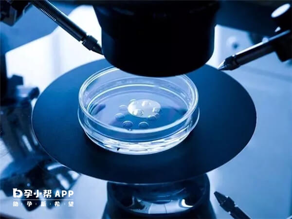2023年在天津中心妇产科医院可以供卵做试管吗？