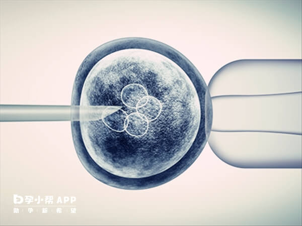 移植冻胚需要憋尿