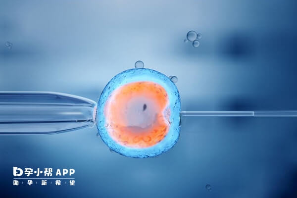 1-3级胚胎可进行冷冻保存