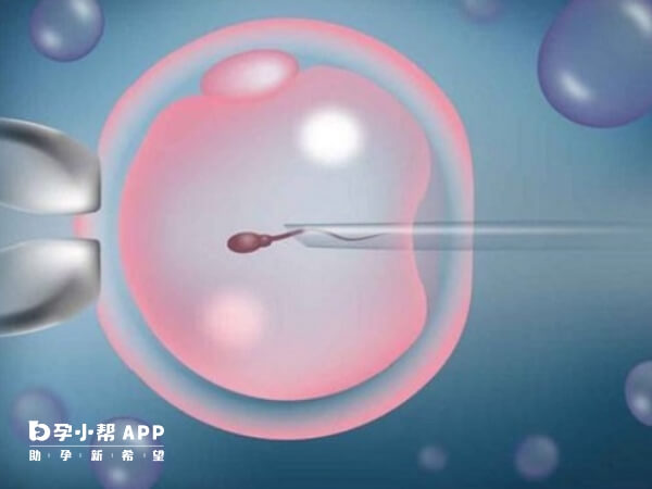 nk细胞高会导致试管移植胚胎不着床
